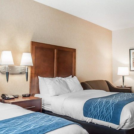 Comfort Inn & Suites Hamburg Ngoại thất bức ảnh